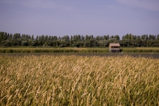 20080906132628.jpg